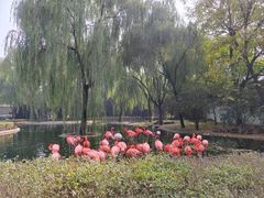 -石家庄市动物园