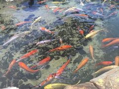 -鸿通城购物中心