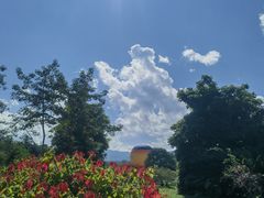 -中国科学院西双版纳热带植物园