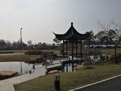 -空港花田景区