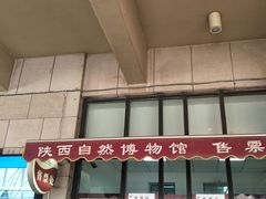 -陕西自然博物馆