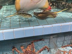 -荣小馆(杭州大厦店)