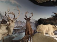 -陕西自然博物馆