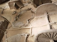 -洛阳周王城天子驾六博物馆