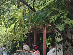 -成都动物园