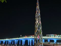 -演武大桥观景平台