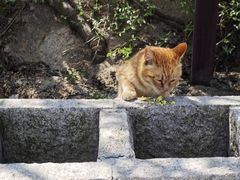 -北京凤凰岭