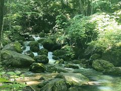 -香炉山国家森林公园