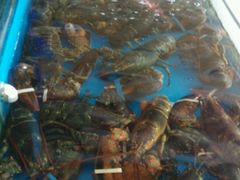 android_upload_pic-蓝港海鲜厨房(金水路店)