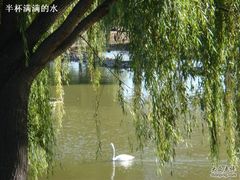 -北京麋鹿生态实验中心