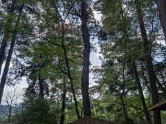 -生态园山庄(森林公园店)