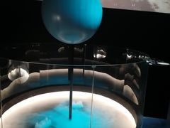 -贝林大翅鲸简餐厅(国家海洋博物馆店)