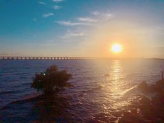 -宝安西湾红树林湿地公园