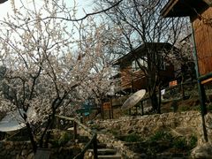 -北京水岸山吧度假村(雁栖镇店)