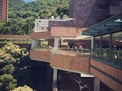 -香港大学