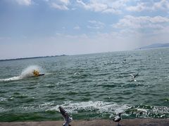 -滇池海埂公园