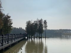 -海珠湖公园