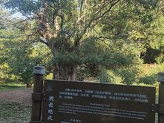 -东湖落雁景区