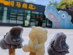-上海野生动物园