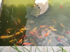 -武汉紫薇都市田园