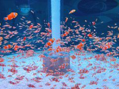 -海合安成都极地海洋公园