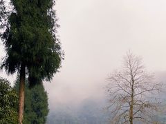 -九峰山