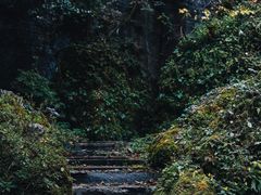 -山王坪喀斯特国家生态公园