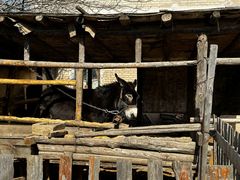 -清风小镇闯关东影视基地