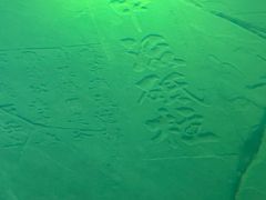 -白鹤梁水下博物馆
