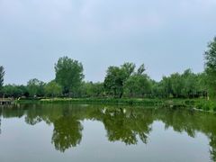 -东郊湿地公园