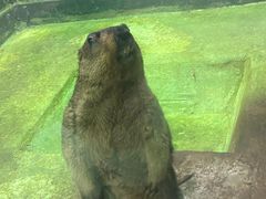 -福州罗源湾海洋世界旅游区