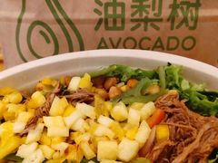 -油梨树AVOCADO TREE(嘉里中心店)