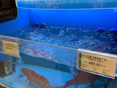 -city'super超·生活(国金中心商场店)