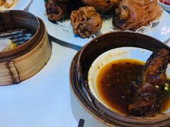 -食为先(Shark Fin)