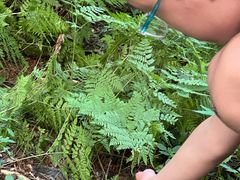 -五营红松林海景区