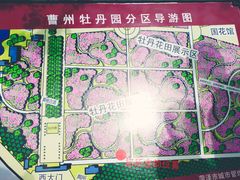 -曹州牡丹园