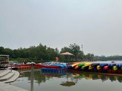 -大兴滨河森林公园