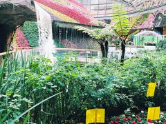-花之城