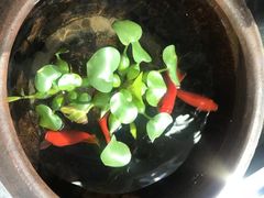 -囿面传统制面馆(中央路店)