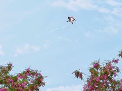 -天津东丽湖风景区