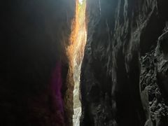 -武陵山森林公园