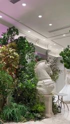 -MuseMarry婚纱(前海嘉里中心店)