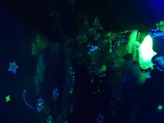 -横店影视城梦幻谷园区