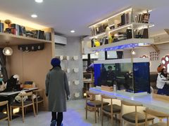 -喵园·猫主题咖啡厅·撸猫·猫咖(国贸店)