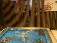 水产区-蟹将军·松叶蟹和牛日料放题自助(K11店)