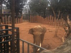 -昆明动物园
