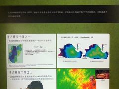 -北京大学赛克勒考古与艺术博物馆