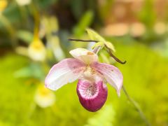 -北京植物园-展览温室