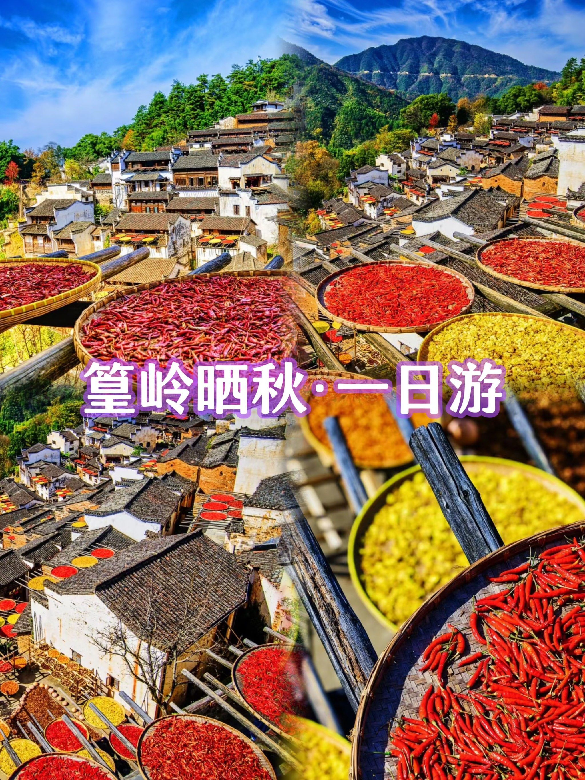 晒秋之季❗️就来篁岭❗️民俗文化的独特之美❗️