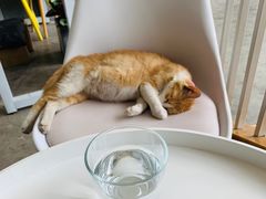 -隹木咖啡馆(宝龙广场店)